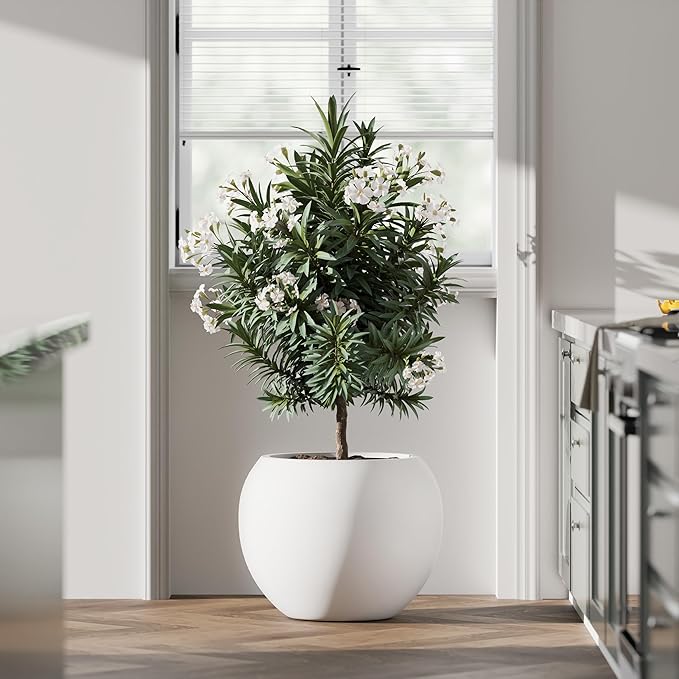 DTY Mount Sherman 12.6" D x 10'' H (Pot Opening 8.5") Fiberstone Round Planter with Drainage Hole, Smooth Finishes, Weather Resistant for Indoor and Outdoor, 2 Extra Coco Mats - White, Small