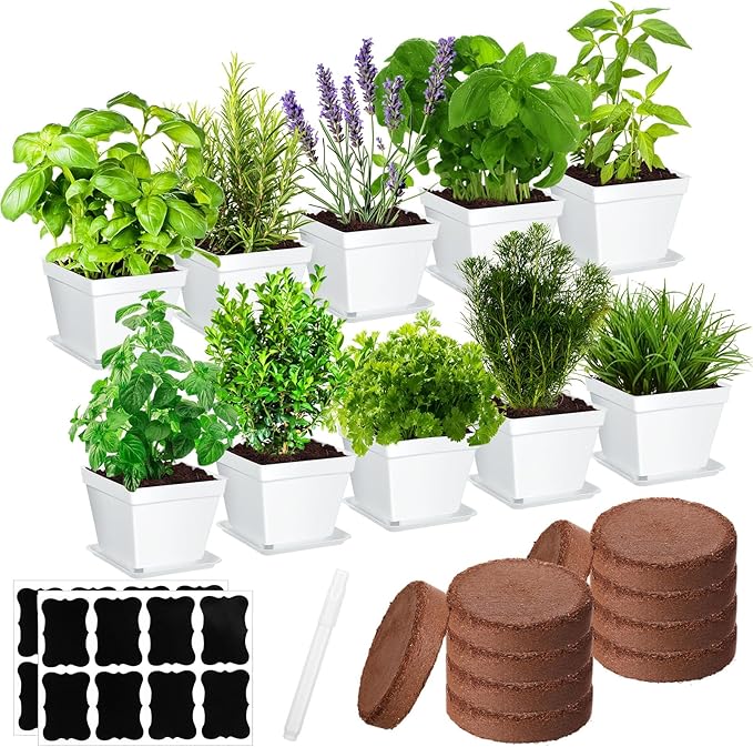 Ripeng 10 Set Indoor Herb Garden Starter Kit, Herb Growing Kit with Pots, Nutritional Soil, Plant Markers, Kitchen Window Planter, Gardening Gift for Women Men Indoor Outdoor