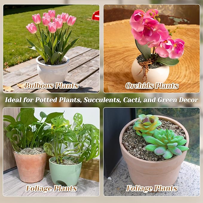 Horticultural Pumice for Plants, 8 Quarts Bag Natural Soil Amendment, 1/4" Particle Size for Succulent, Cactus, Bonsai Tree, Orchid Potting Mix