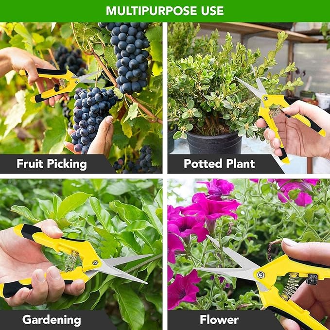 iPower 6.5 Inch Gardening Scissors, Heavy-Duty Hand Pruner Pruning Shear for Gardening and Trimming, Ultra Sharp Stainless Steel, 10 Pack, Yellow