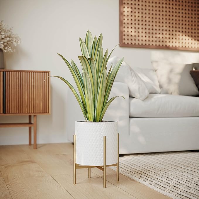 EverNest Claire Mid-Century Modern White Planter with Loki Stand, Indoor Plant Pot, SelectBase, Minimalist Aesthetic, Home Decor for Plants - (Gold Base, Set of 3)