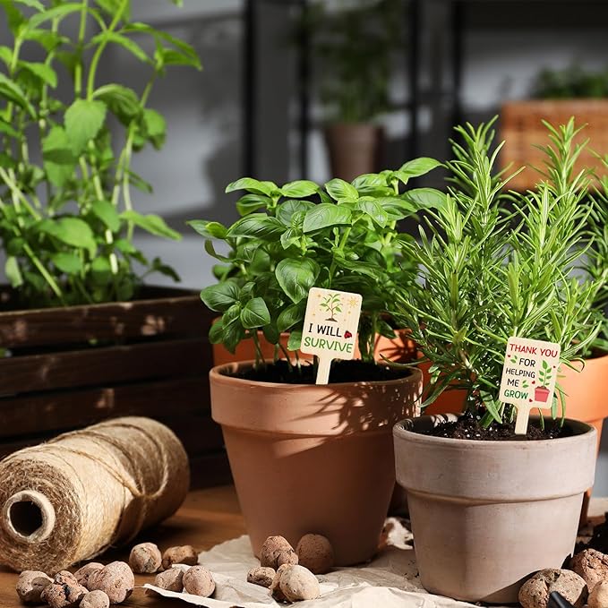 UPINS 24Pcs Acrylic Plant Labels Plant Markers Plant Tags Signs with Funny Words for Indoor Outdoor Gardens Plants