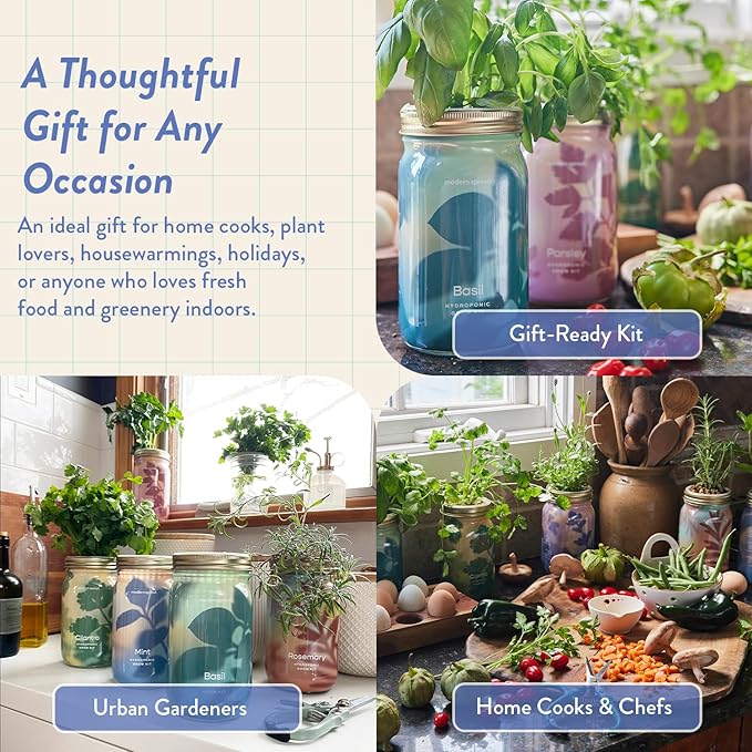 Modern Sprout Mason Garden Jar - Self-Watering Hydroponics Growing System Kit with Organic Herb Seeds - Jar Planter for Indoor Herb Garden - Seed Starter Kit - Home Decor & Gifting - Mint