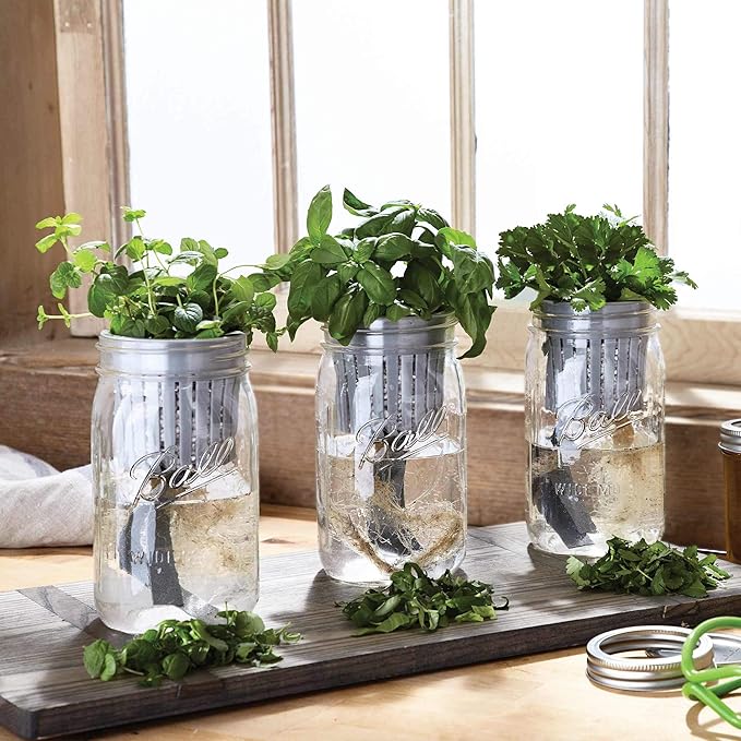 Ball 1440016021 Self-Watering Herb Growing Kit, Clear