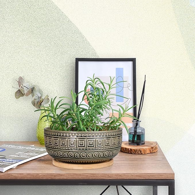 G EPGardening 8 Inch Ceramic Succulent Planter Pots Round Shallow Bonsai Planter Pot for Indoor Plants with Drainage and Bamboo Saucer Gray