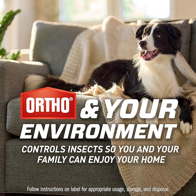 Ortho Home Defense Max Indoor Flying Insect Trap Refills - Light Sticky Trap for House Flies, Fruit Flies, and Gnats, 3 Refill Cartridges