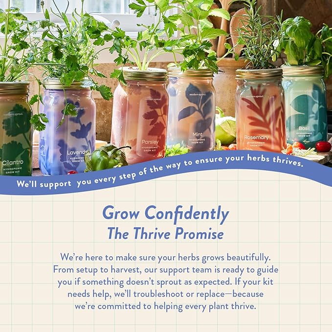 Modern Sprout Mason Garden Jar - Self-Watering Hydroponics Growing System Kit with Organic Herb Seeds - Jar Planter for Indoor Herb Garden - Seed Starter Kit - Home Decor & Gifting - Lavender