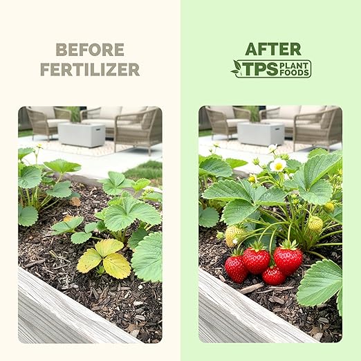Strawberry Fertilizer – Liquid Plant Food for Better Flowering, Bigger Berries & Stronger Root Runners, 1 Gallon