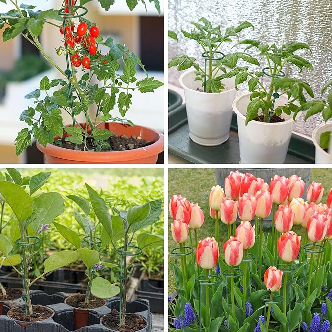 Unves 36 Inch Plant Stakes Tall, 5 Set Plant Support Stakes for Indoor or Outdoor, Three Sizes(12 or 24 or 36 Inch) Garden Plants Cages Support Rings for Flowers Tomato Amaryllis Lily Peony Rose