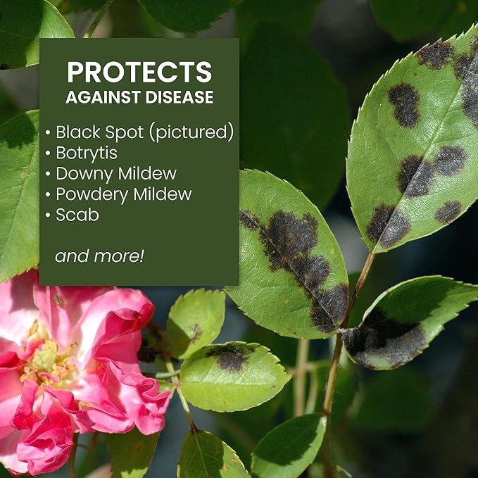 NATRIA Armyworm Pheromone Trap, Ready-to-Use, (1-Pack) with NATRIA Neem Oil Spray for Plants Pest Organic Disease Control, for Insects, 24 Oz, Ready-to-Use