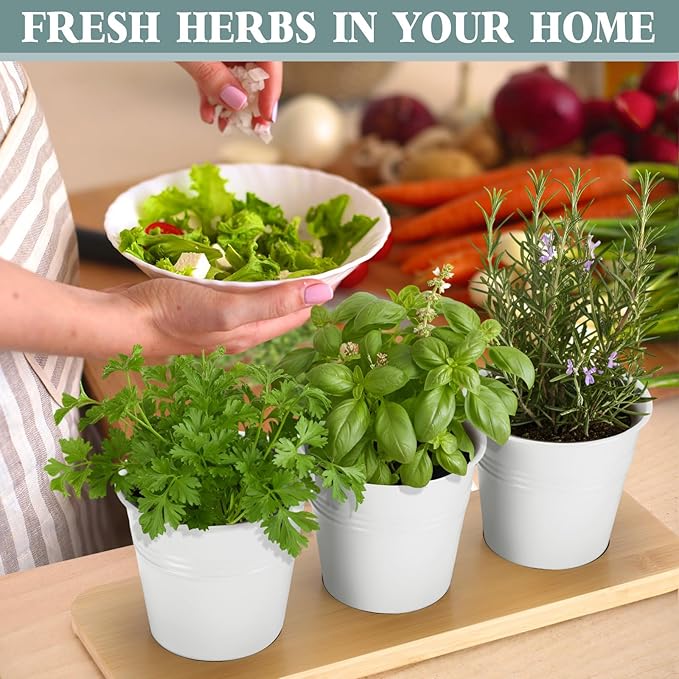 LemonRoad 6 Pcs Indoor Herb Planter Window Herb Pots for Kitchen with Drainage Hole and Bamboo Tray Farmhouse Metal Garden Planter Pot with DIY Label Mom Plant Gift(White,Round)