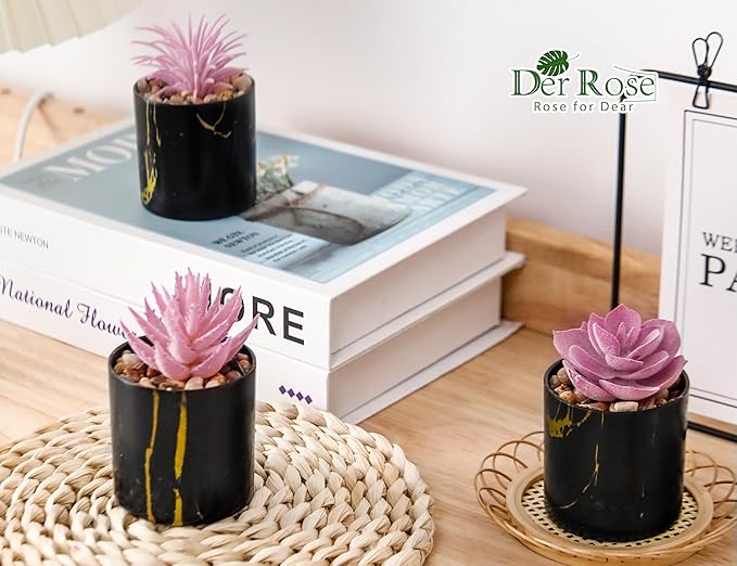 Der Rose 3 Pack Fake Plants Succulents Plants Artificial in Black Pots for Pink Room Decor Aesthetic Home Office Desk Accessories for Women