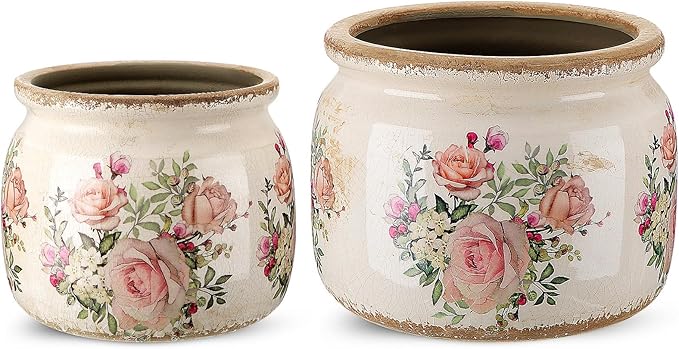 2 Pcs Vintage Planter Ceramic Plants Pot with Drainage Ice Crack Scroll Flower Vase Pot for Indoor Outdoor Plants Home Kitchen Decor Gifts(Country Rose,7.7" & 5.9")