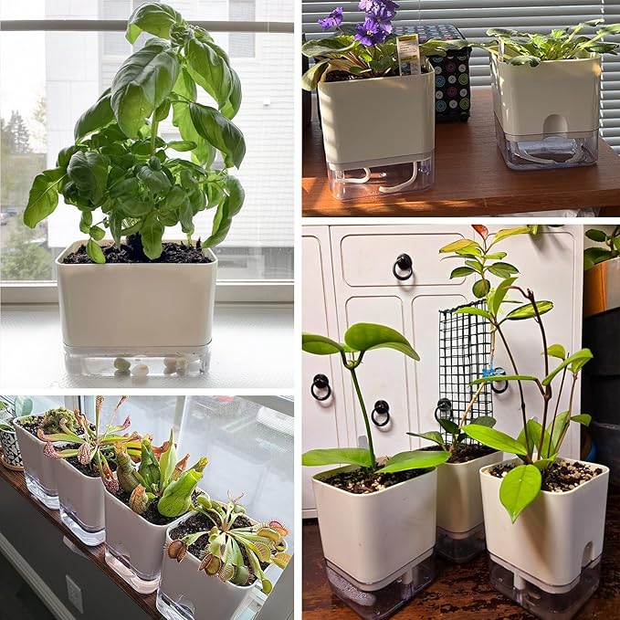 Planterhoma Self Watering Plant Pots for Indoor Plants 5.5 inch, 3 Packs Square Self-Watering Planters with Drainage Hole, White African Violet Pots for Devil's Ivy, Spider Plant, Orchid, Herb