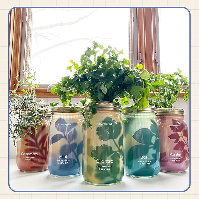 Modern Sprout Mason Garden Jar - Self-Watering Hydroponics Growing System Kit with Organic Herb Seeds - Jar Planter for Indoor Herb Garden - Seed Starter Kit - Home Decor & Gifting - Mint