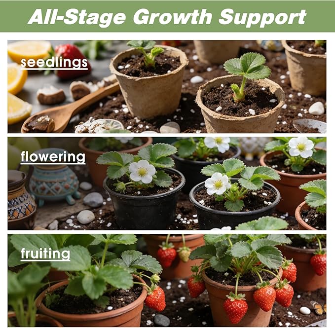 All-Natural Strawberry Soil & Potting Mix 1qt - Premium Potting Soil for All-Stage Strawberry Growth
