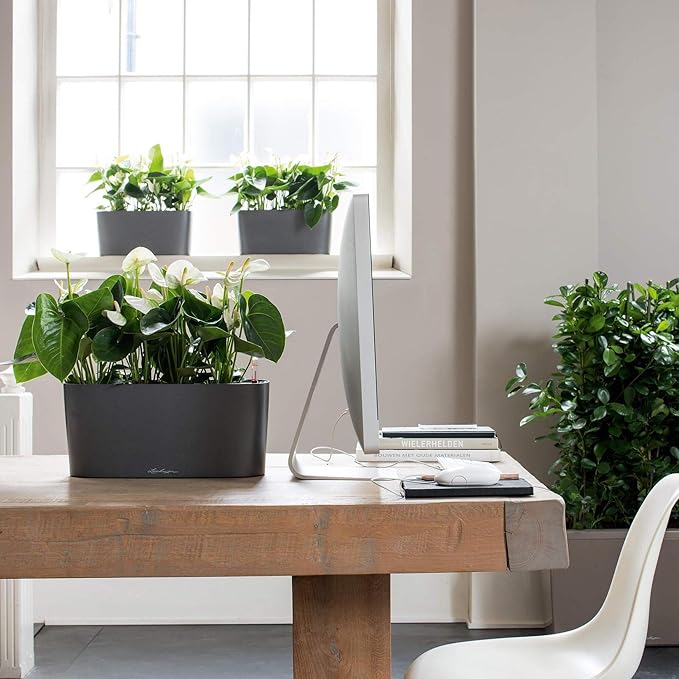 Lechuza Delta 20 Cream White High Gloss, Self-Watering Planter Indoor, H7.1 L15.7 W5.9 in