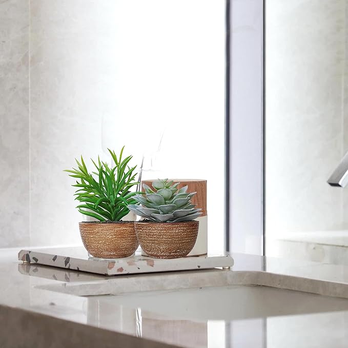 Artificial Plants Indoor with Pot, 2 Pack Fake Plants Indoor, Faux Succulents for Desk, Faux Greenery in Modern Farmhouse Decor, Home Decor Bathroom Bedroom Decor Aesthetic Coworker Gift