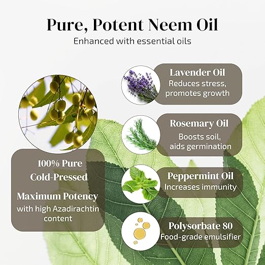 Plant Shine & Defense Essentials – Plant Wipes + Essential Oil Infused Neem Oil (No Spray Bottle)