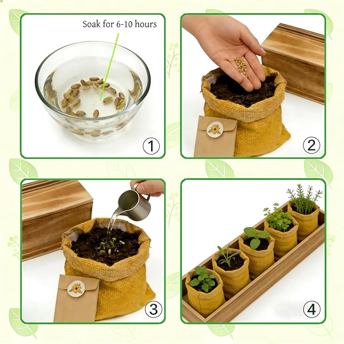 5 Herb Garden Kit with Wooden Box - Including Basil, Thyme, Parsley, Rosemary, Mint - Windowsill Herb Garden for Kitchen, Gardening Gifts for Mom Women, Men, Gift Ideas for Birthday, Housewarming