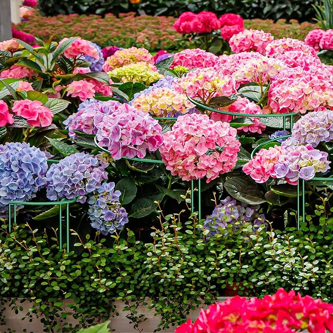 6-Pack 31.5” Plant Support Stakes, Steel Plant Cage & Peony Tomato Hydrangea Cage, Garden Stakes for Outdoor Plants, Heavy-Duty Plant Stakes, 16.7” Support + 14.8” Extension Tubes