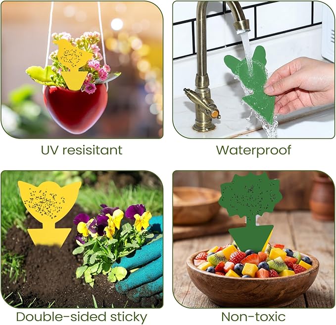 Qualirey 50 Sheets Fruit Fly Sticky Traps for Fruit Fly Gnat Trap for House Indoors Sticky Traps Catcher for Gnats Fungus Gnats Mosquito Catcher Kitchen Outdoor Plants(Classic Style, Yellow, Green)