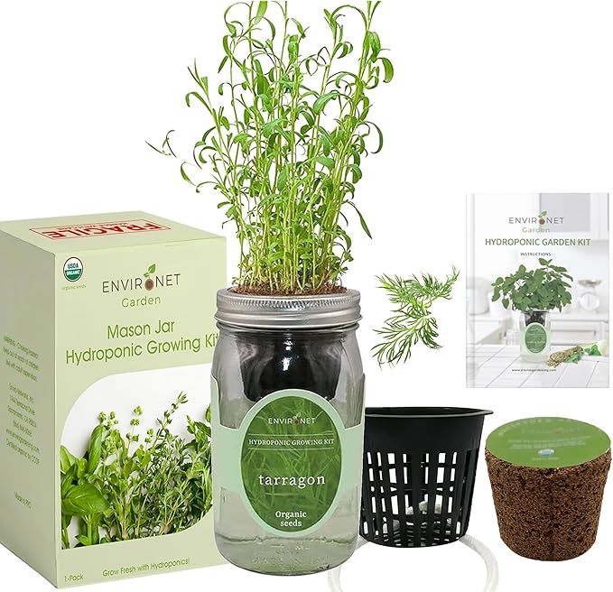 Hydroponic Herb Growing Kit, Self-Watering Mason Jar Herb Garden Starter Kit Indoor, Windowsill Herbs Garden, New Christmas Grden Gift for Mom (Tarragon)