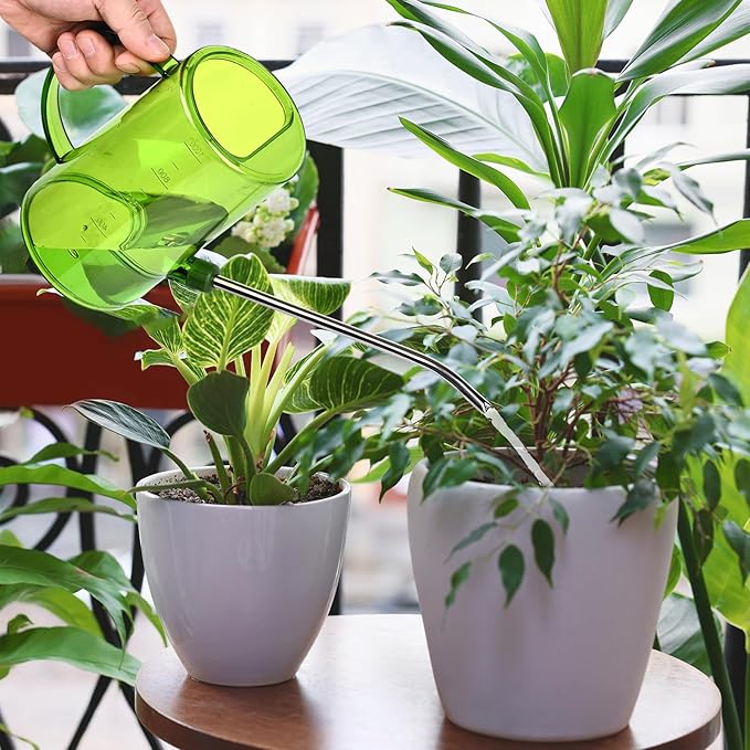 Small Plastic Watering Can - for Home Garden - with Long Spout - 1/4 Gallon - 34 Oz - Green