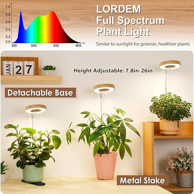LORDEM Bamboo Base Desktop Grow Light, LED Plant Lamp with Full Spectrum, 4 Adjustable Brightness Levels, 4H/8H/12H Auto Timer for Indoor Plants Growing, Height Adjustable 7.8"-26", 2 Pack