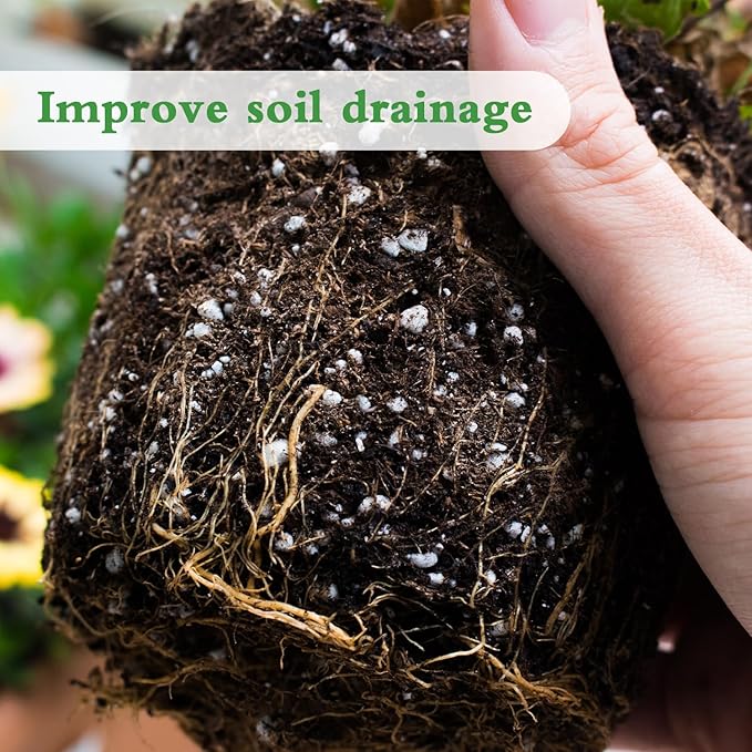 HAINANSTRY Organic Perlite for Plants, Enhances Soil Drainage and Aeration, Perfect Perlite for Plants Indoor & Outdoor, Horticultural Perlite for Gardening, Perfect for Potting Mixes, 2QT