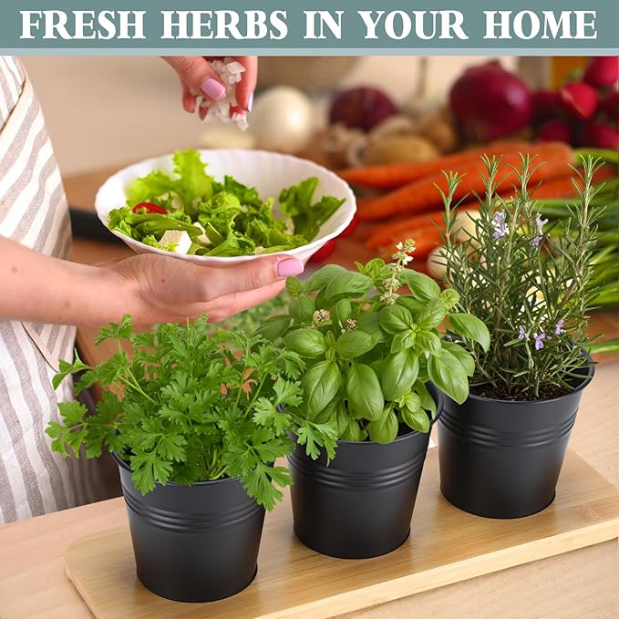 LemonRoad 6 Pcs Indoor Herb Planter Window Herb Pots for Kitchen with Drainage Hole and Bamboo Tray Farmhouse Metal Garden Planter Pot with DIY Label Mom Plant Gift(Black,Round)