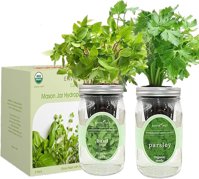 2-Pack Hydroponic Mason Jar Herb Garden Kit, Indoor Herb Garden Self-Watering Starter Kit (Thai Basil,Parsley)