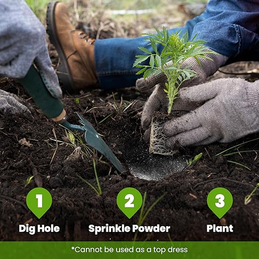 Big Foot Probiotic Root Boost Water Soluble Powder For Established Plants and Transplants - GROW ROOT SIZE, Increase Nitrogen, Grow New Plants from Cuttings, Pea Inoculant - 2 Ounces
