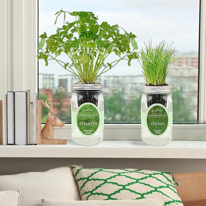 2-Pack Hydroponic Mason Jar Herb Garden Kit, Indoor Herb Garden Self-Watering Starter Kit, New Christmas Gift for Mom (Cilantro,Chives)