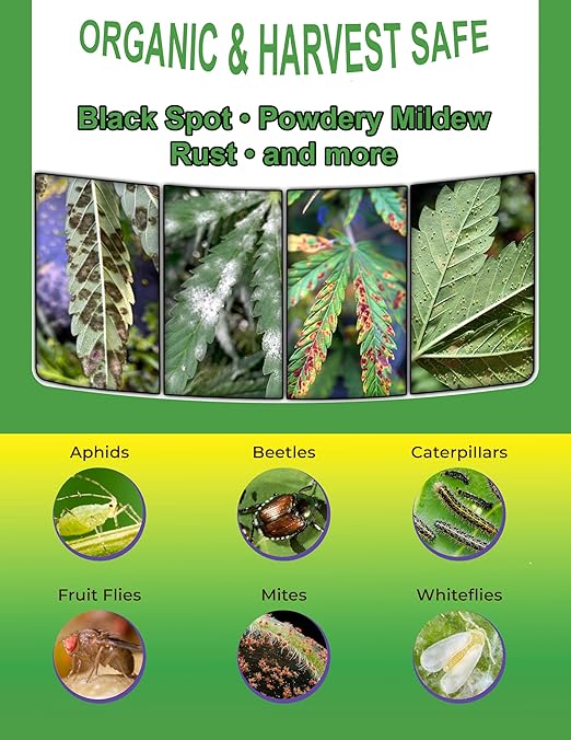 Plant Shield | Organic and Safe | Concentration Makes 50 Gallons