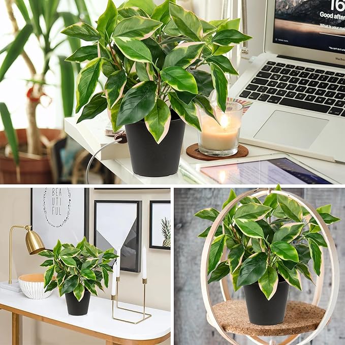 Oairse Artificial Plants Indoor Small Fake Plants in Pots Faux Pothos N‘ Joy Potted Plant Fake Indoor Plants with Black Pots for Bathroom Living Room Office Desk Shelves