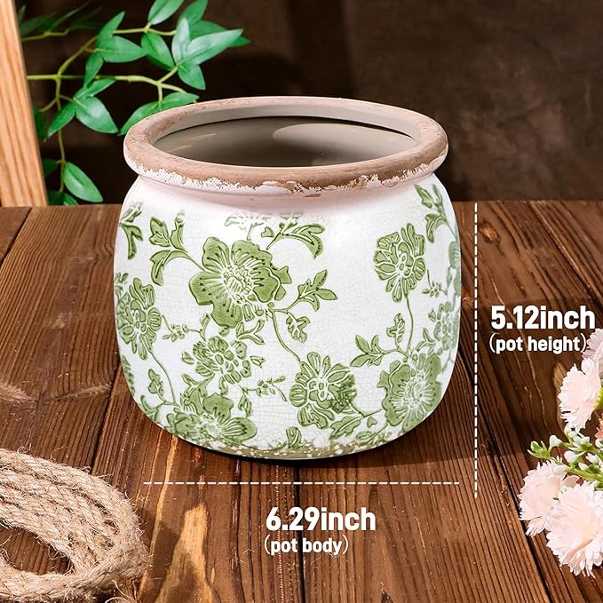 Dosayes Flower Pot,Vintage Ceramic Pot for Planter with Drainage Holes, 6.29 inch Ice Crack Glazed Indoor Planters Pot for Indoor,Tucan Home Decor,Gardening Gifts,Green (Modern)