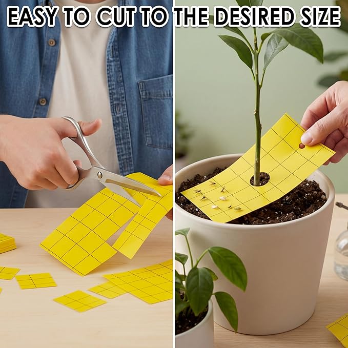 Qualirey 400 Pcs Sticky Trap for Gnats Dual Side Sticky Fruit Fly Trap with Tie Plant for Flying Insect Fungus Bugs Flying Catcher for Indoor (3'' X 5'')