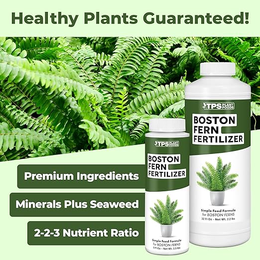 Boston Fern Fertilizer – Liquid Plant Food for Fuller Fronds, Rich Green Color & Healthy New Growth, 8 oz
