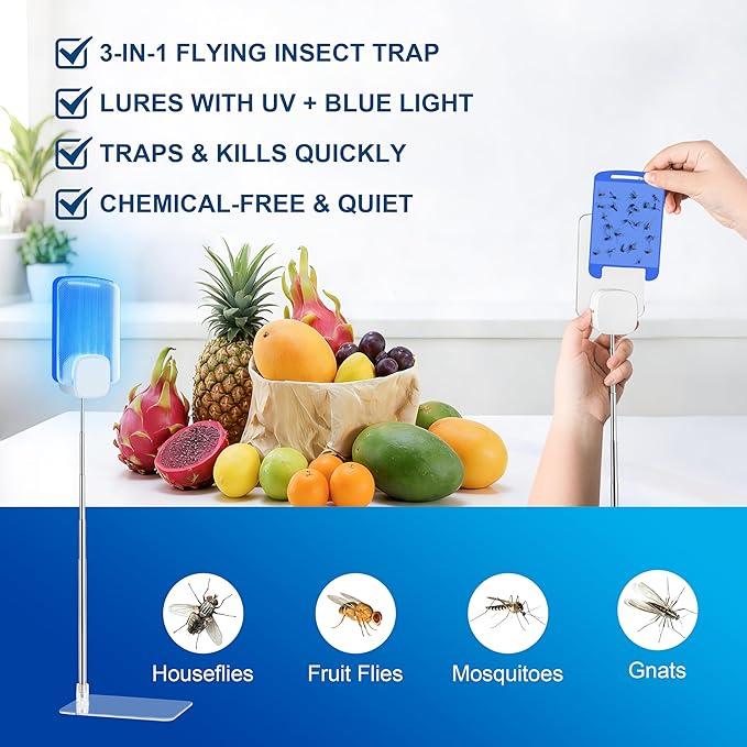 Insect Trap for Indoor Control of Fruit Flies and Gnats, Uses Gentle Purple Light, Pollution-Free and Chemical-Free, Includes 1 Plug-in Device and 4 Sticky Traps, with an Extendable Pole and Base