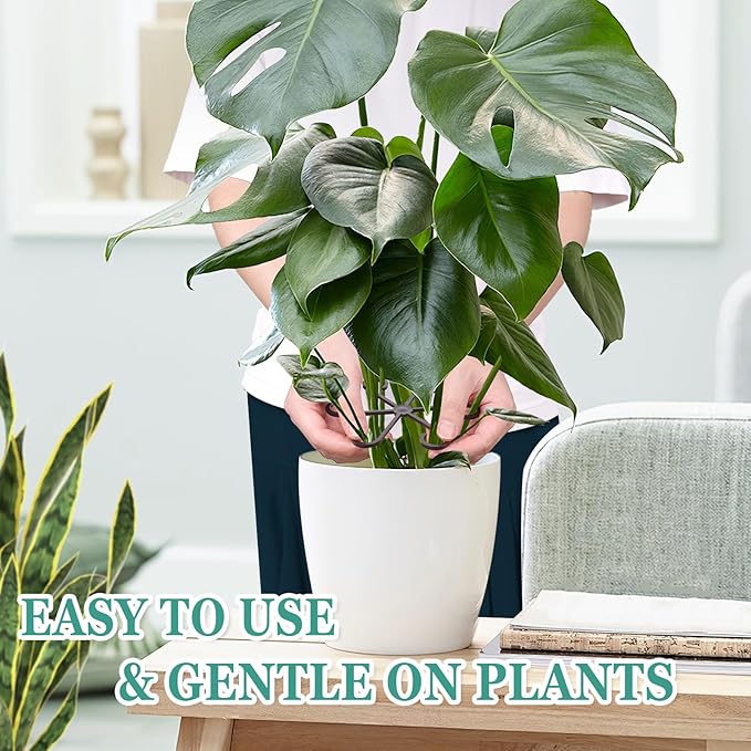 8pcs Plant Stem Support, Plant Support for Indoor Plants, Plastic Reusable Plant Stabilizer, Indoor Plants Accessories