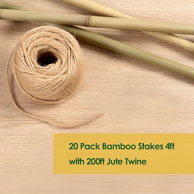 Cambaverd Bamboo Stakes 4 Feet Thicker Garden Stakes with Garden Twine, Diameter of 0.55in Natural Plant Stakes Bamboo Poles for Climbing Plants Support Tomato Cage - 20 Pack Bamboo Sticks for Plants