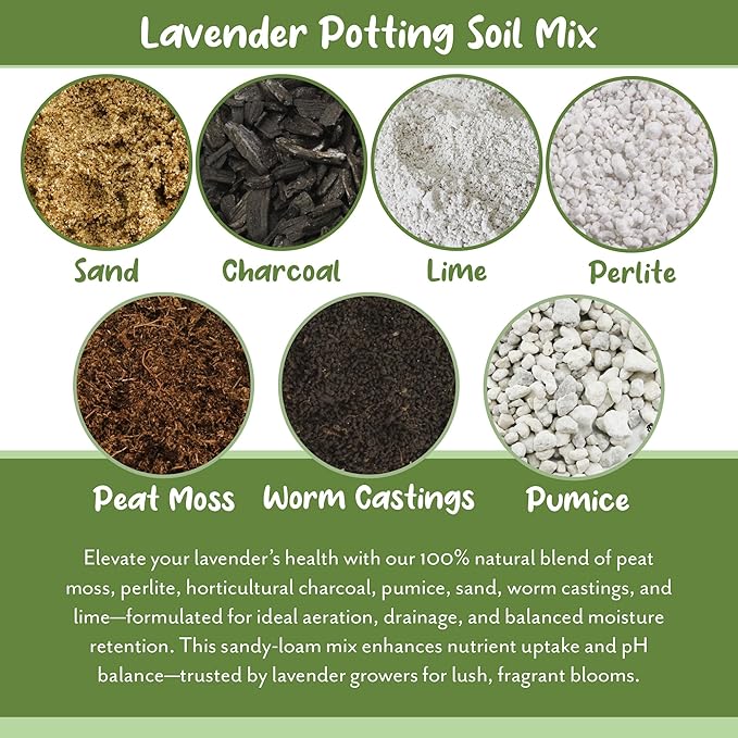Soil Sunrise Lavender Potting Soil Mix (8 Quarts) Indoor/Outdoor Container Gardening Blend for Lavender Herb Plants