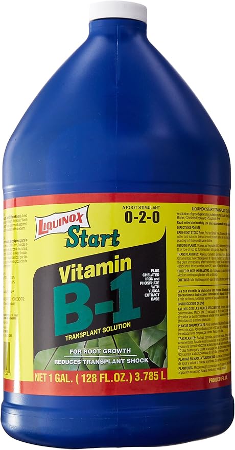 0-2-0 Start with Vitamin B-1, 1-Gallon