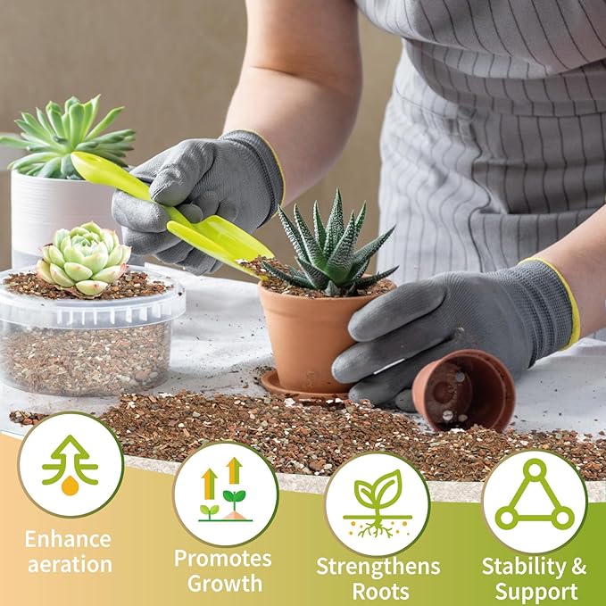 Doter Succulent & Cactus Soil Potting Mix 1qt, Chunky Dirt with Fast Draining Fits for Bonsai, Terrarium and Houseplant