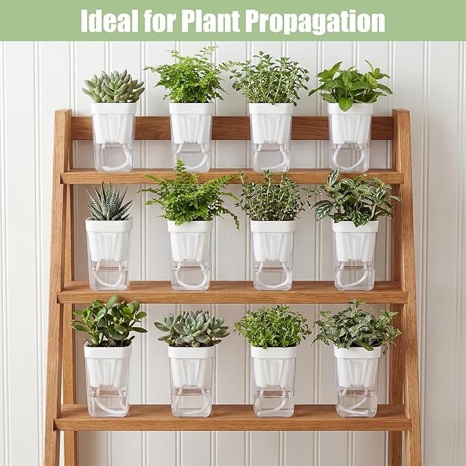 30 Pack 2.5" Small Self Watering Pots for Indoor Plants Clear Mini Self Watering Plant Pot with Water Level, Drainage Holes 30 Plastic Label 3 Planting Tools, Rope for Propagation Succulents