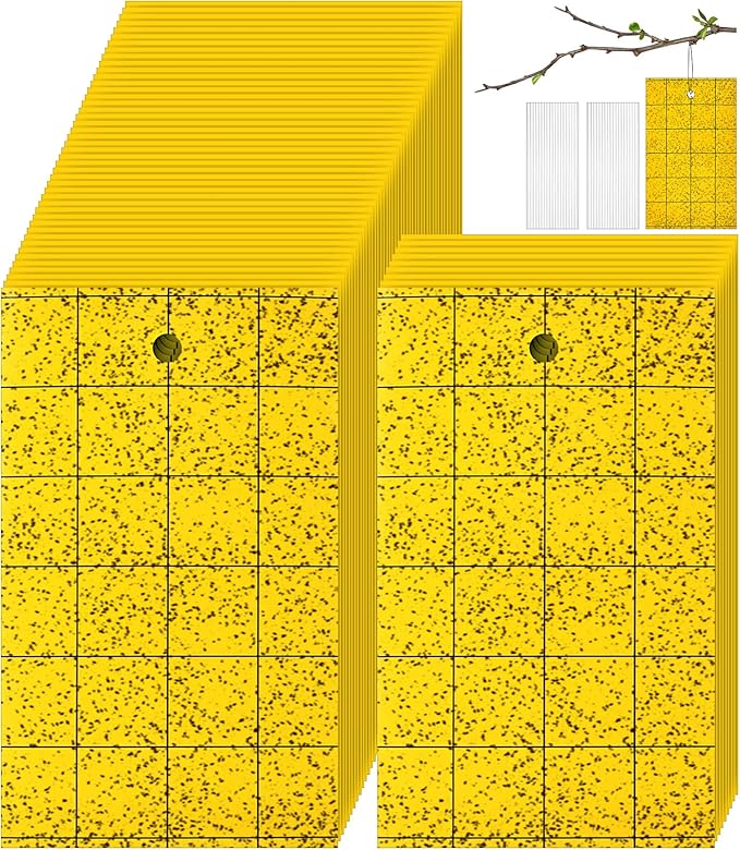 Qualirey 50 Pcs Sticky Trap for Gnats Dual Side Sticky Fruit Fly Trap with Tie Plant for Flying Insect Fungus Bugs Flying Catcher for Indoor (3'' X 5'')