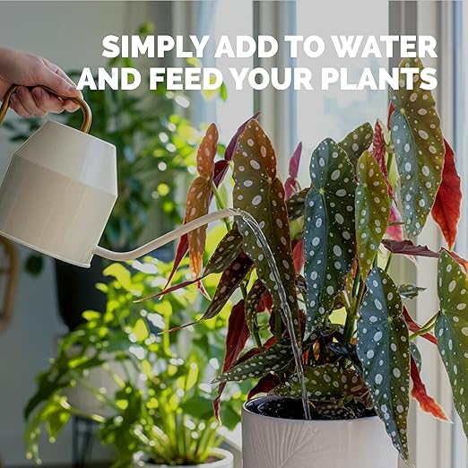 Begonia Fertilizer – Liquid Plant Food for More Blooms, Vibrant Color & Healthy Leaf Growth, 32 oz