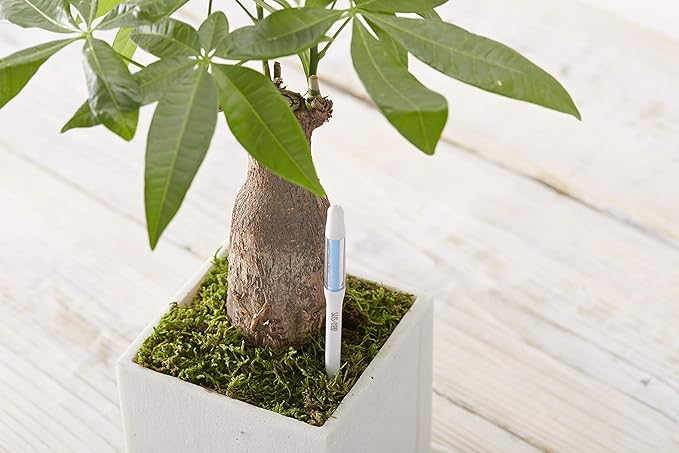 Sustee Aquameter (Large White Refillable - Bundle of 2) - House Plant Soil Moisture Meter, Humidity Sensor Probe, Water Level Indicator - Best for Indoor Potted Plants