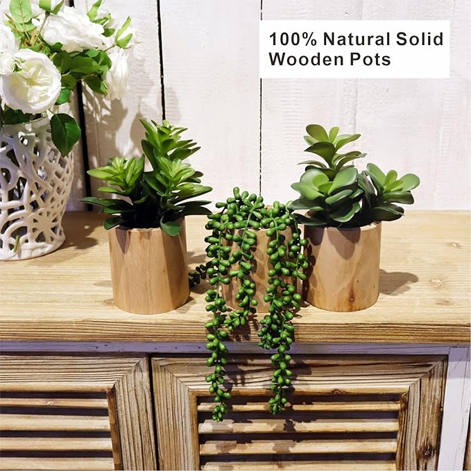 Artificial Succulents with Pots - Set of 3 Small Fake Plants for Aesthetic Room Decor - Realistic Mini Faux Greenery for Office Desk, Bookshelf, and Bathroom - Modern Home Accents